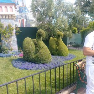 Meet your Posher, Getulio